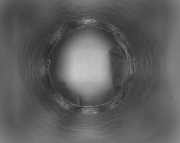 X0000051270520200507011748