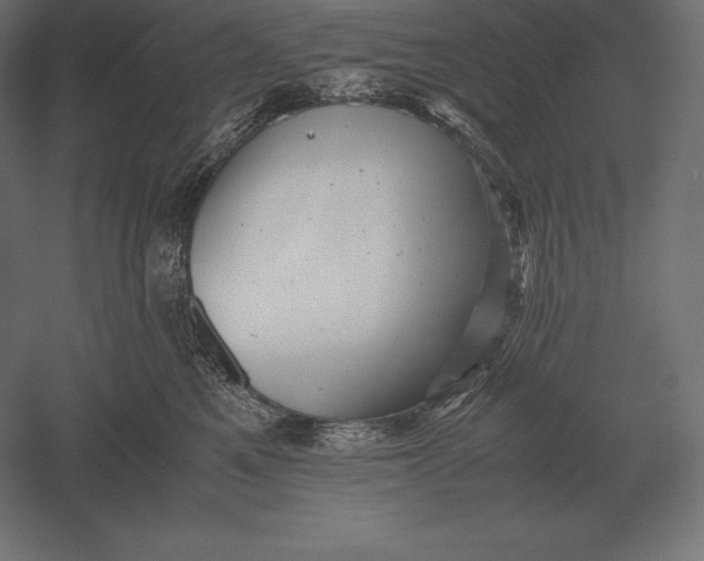 X0000051270521200507011748