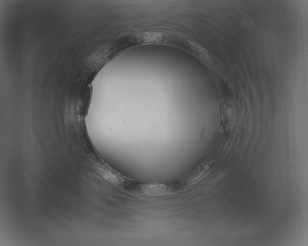 X0000051270525200507011748