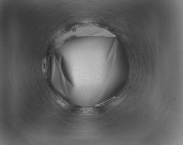 X0000051270528200507011748
