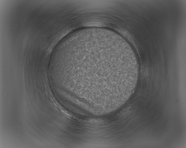 X0000051270529200507011747