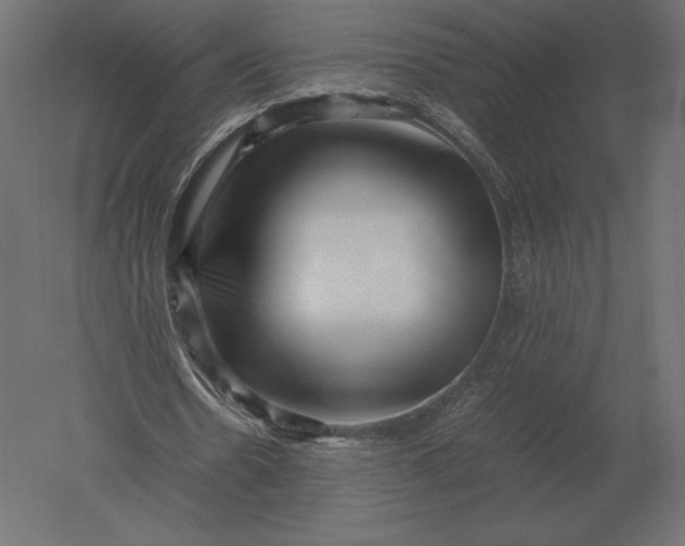 X0000051270530200507011747