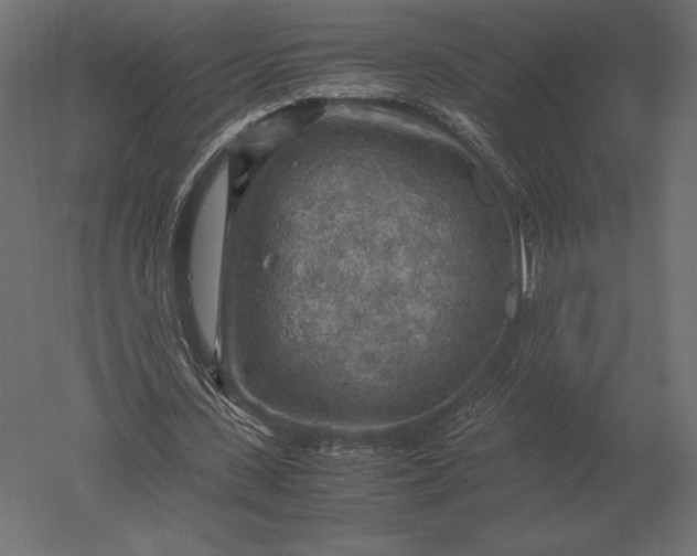 X0000051270531200507011747
