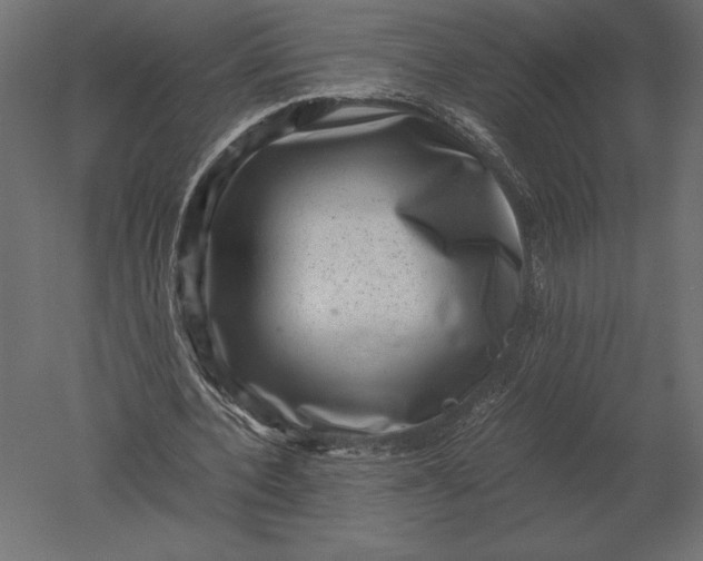 X0000051270532200507011747