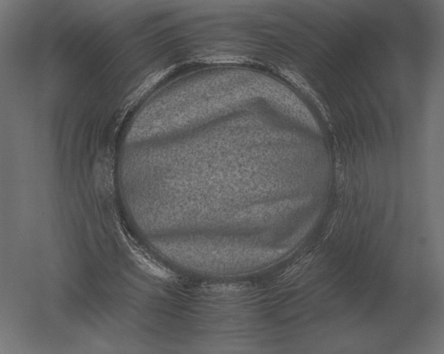X0000051270533200507011747