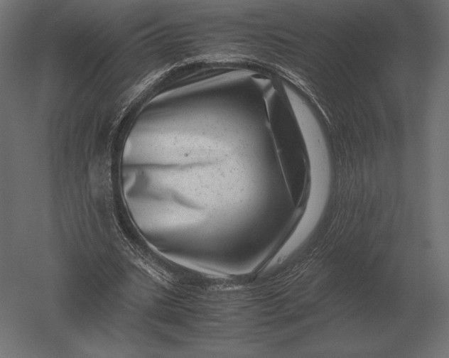 X0000051270535200507011747