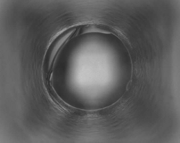 X0000051270536200507011747