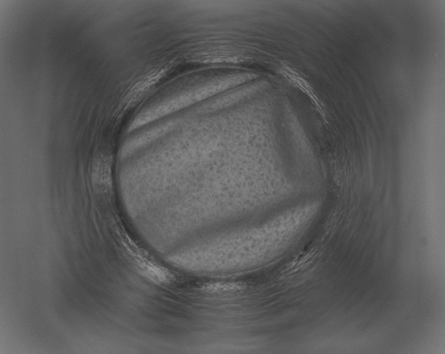 X0000051270537200507011747