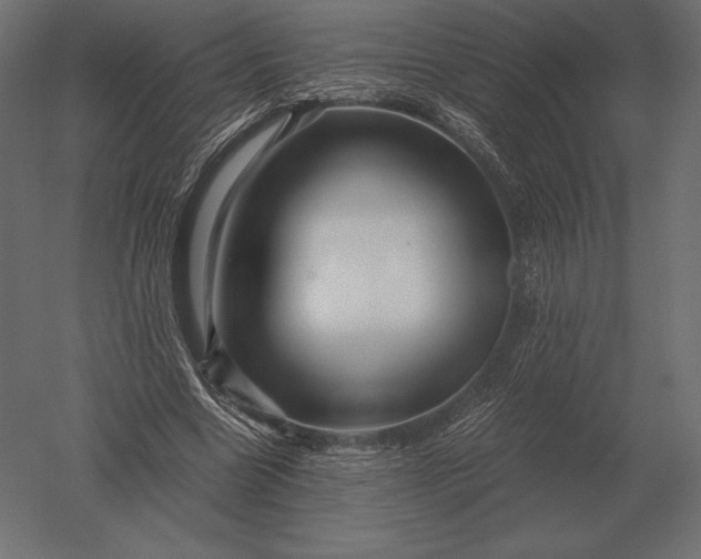 X0000051270538200507011747