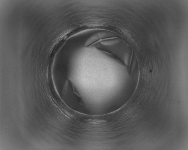 X0000051270539200507011747
