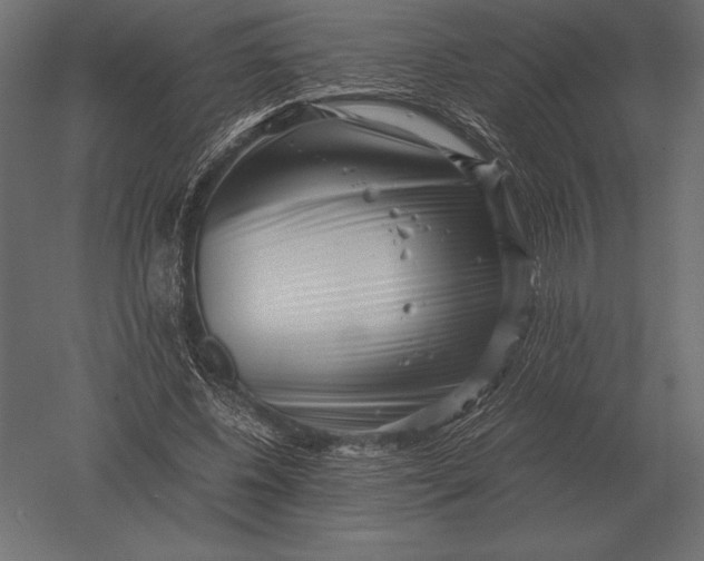 X0000051270540200507011747