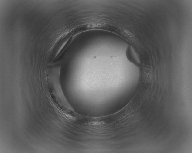 X0000051270543200507011747