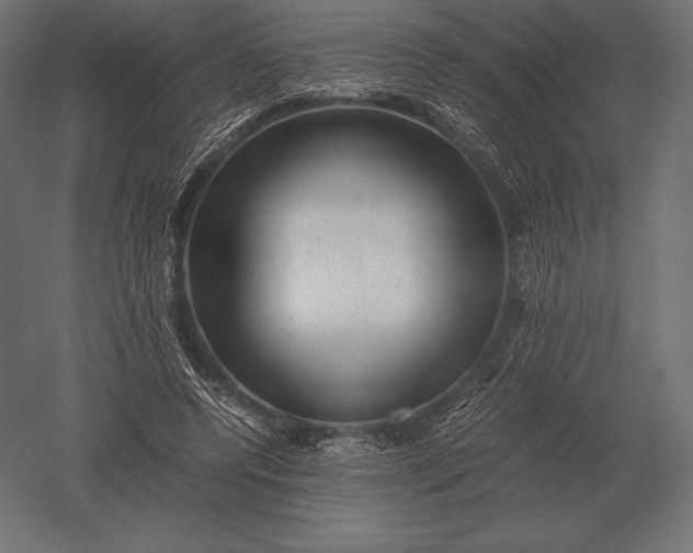 X0000051270544200507011747