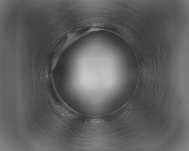X0000051270546200507011747