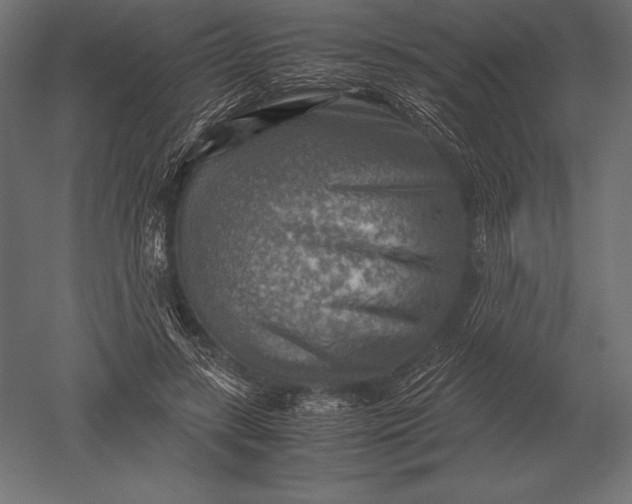 X0000051270547200507011747