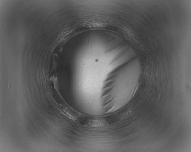 X0000051270548200507011747