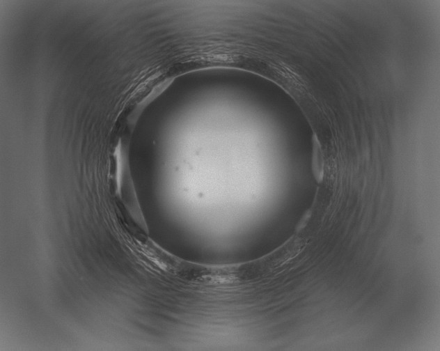 X0000051270552200507011747