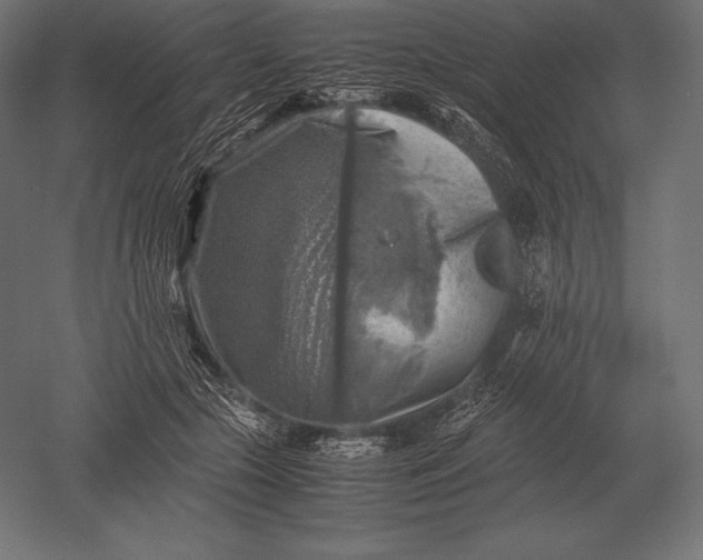 X0000051270553200507011747