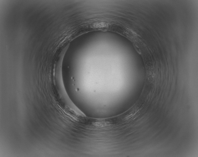 X0000051270556200507011747