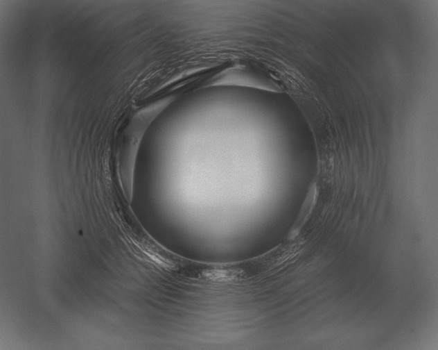 X0000051270558200507011748