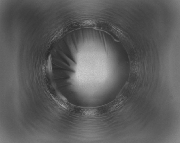 X0000051270560200507011748