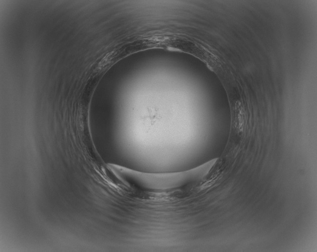 X0000051270562200507011748