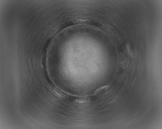 X0000051270563200507011748