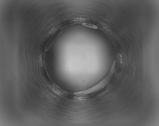 X0000051270564200507011748