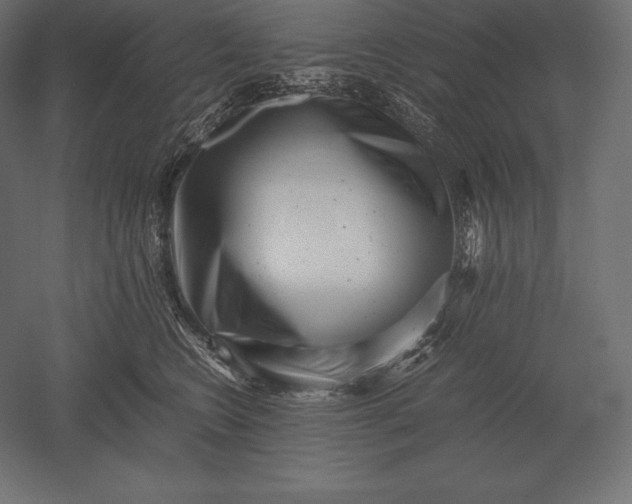X0000051270566200507011748