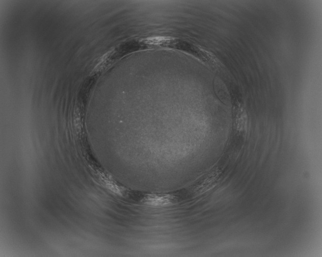 X0000051270569200507011748