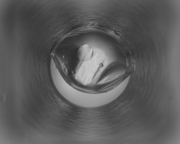 X0000051270570200507011748