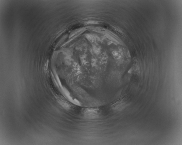 X0000051270573200507011748