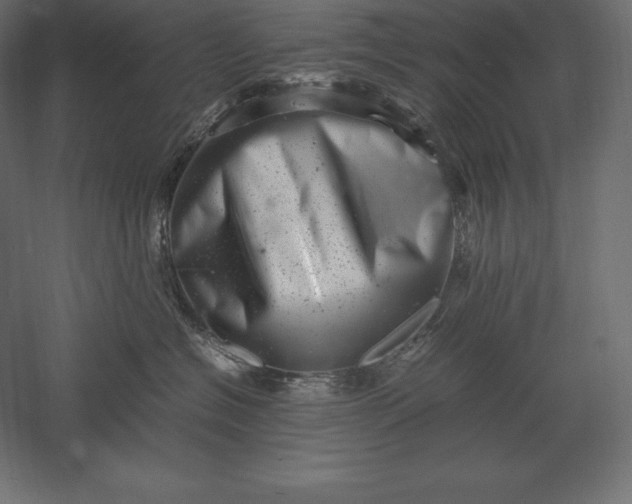 X0000051270574200507011748