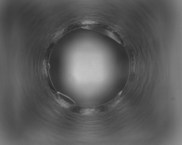 X0000051270575200507011748