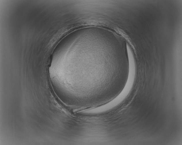 X0000051270577200507011747