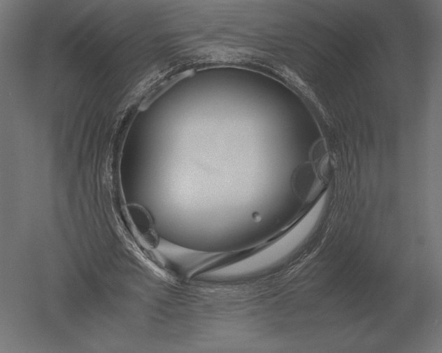 X0000051270581200507011747