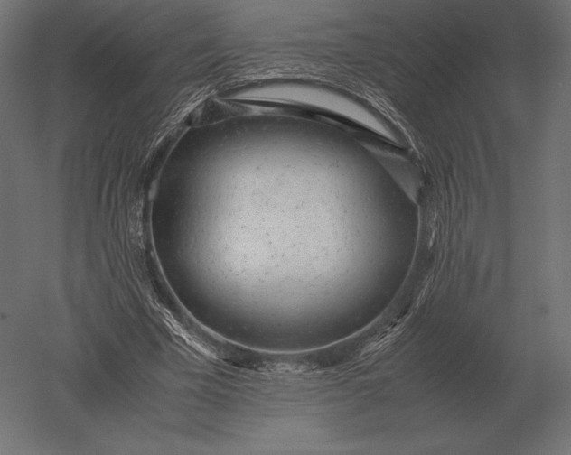 X0000051270585200507011747