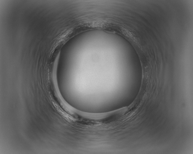 X0000051270589200507011747