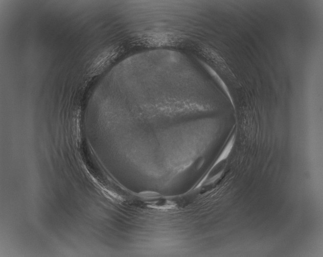 X0000051270590200507011747