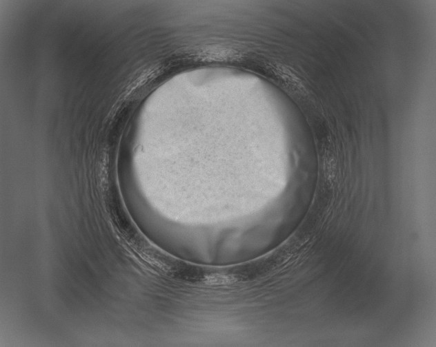 X0000051270591200507011747