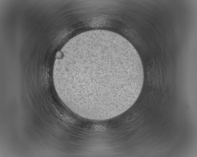 X0000051270592200507011747