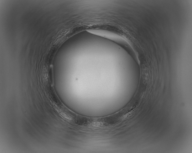 X0000051270593200507011747