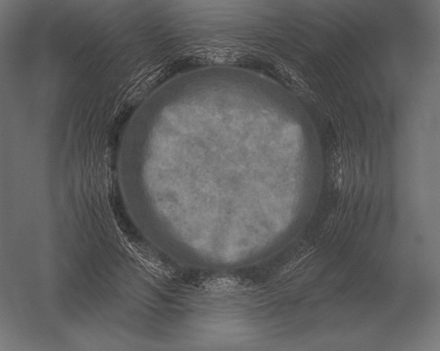 X0000051270594200507011747