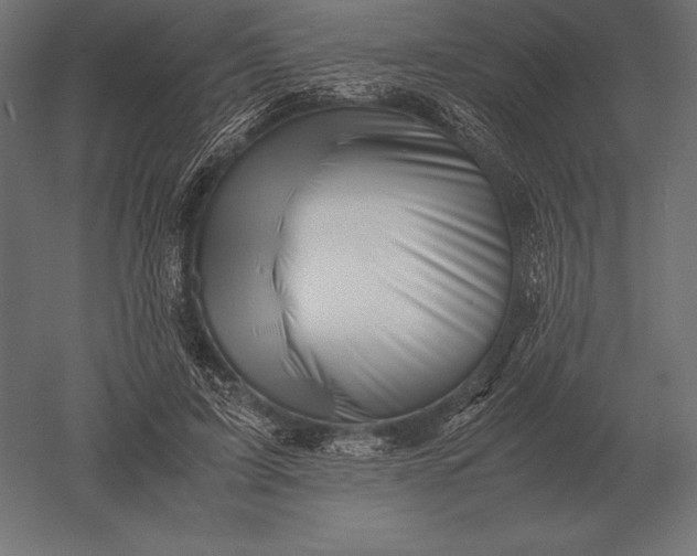 X0000051270595200507011747