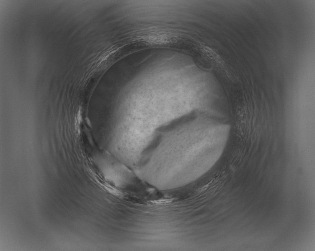 X0000051270596200507011747