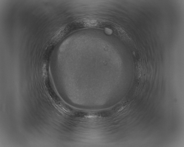 X0000051270598200507011747