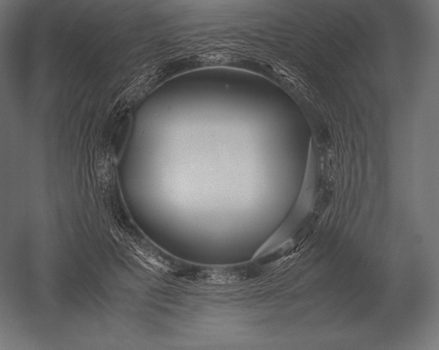 X0000051270601200507011747
