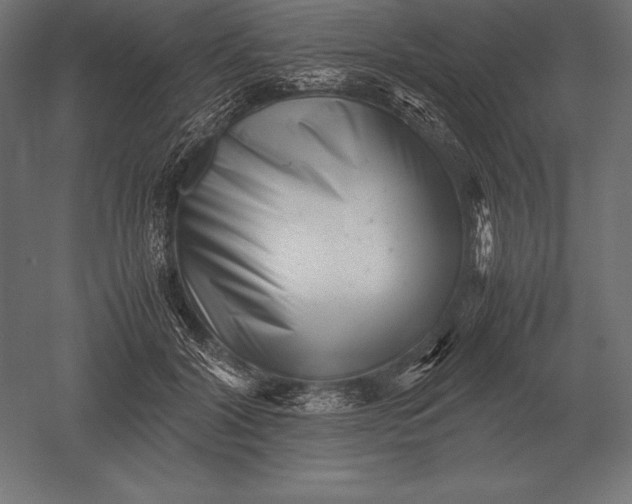 X0000051270604200507011747