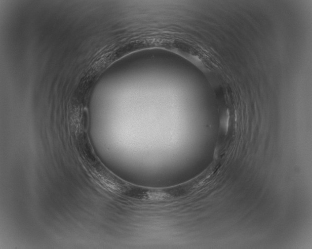 X0000051270605200507011747