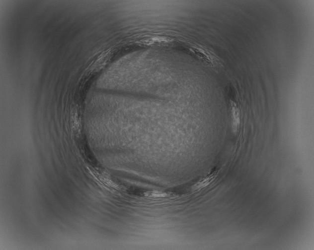 X0000051270607200507011747